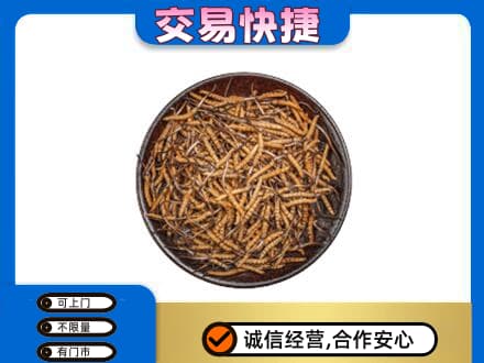 泉州市南安礼品回收虫草.jpg